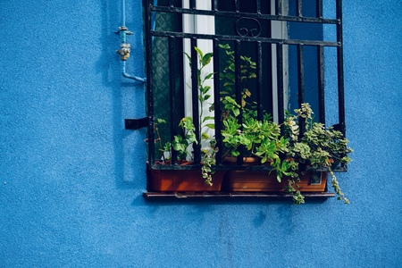 window on the blue facade in Bilbao city. Spain.の写真素材