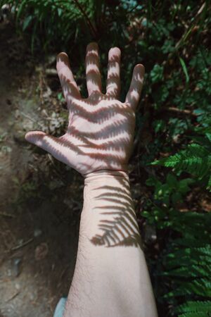 man hand shadow silhouette on the wallの写真素材