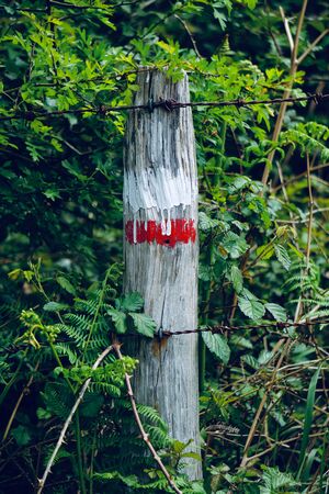 barbed wire fence in the meadow in the mountain