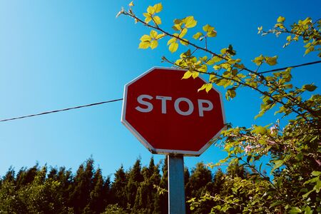 stop traffic signal on the road on the street in Bilbao city spain