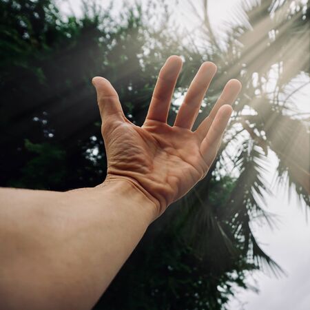 raised hand feeling freedom and nature, hand upの写真素材