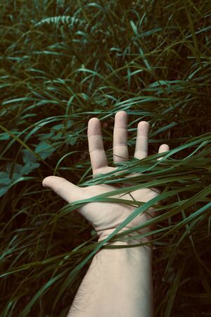 man hand touching the plants feeling the natureの写真素材