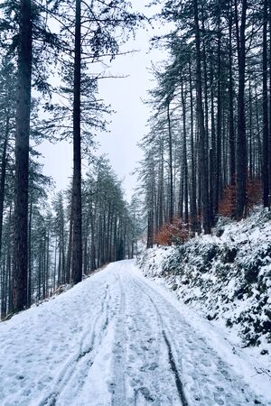 snow in the mountain in winter season, white and cold daysの写真素材