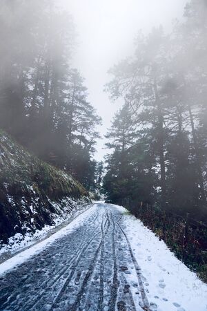 snow in the mountain in winter season, white and cold daysの写真素材