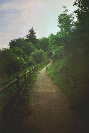 path and green trees on the mountain in Bilbao Spain