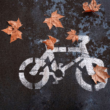 bicycle traffic signal on the street in Bilbao city, Spain