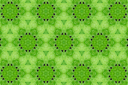 green abstract textured background, symmetric lines and shapesの写真素材