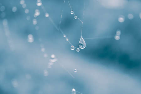 raindrops on the spiderweb in rainy daysの写真素材