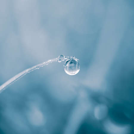 raindrop on the grass leaf in spring season in rainy daysの写真素材