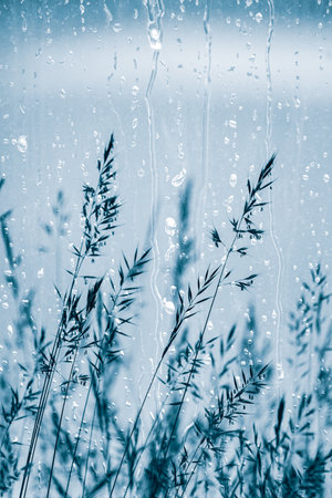 raindrops and flowers in rainy days in spring seasonの写真素材