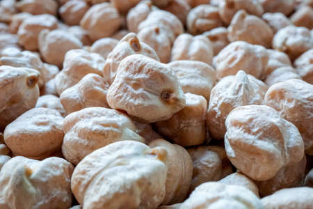 uncooked chickpeas, mediterranean healthy foodの写真素材