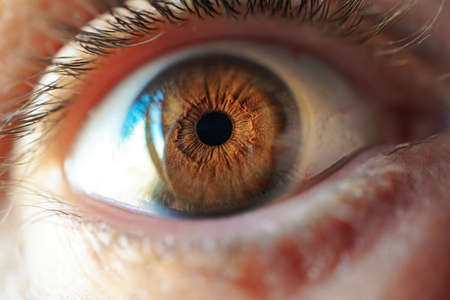 man brown eye macro photographyの写真素材