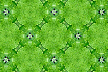 green abstract textured background, symmetrical shapesの写真素材