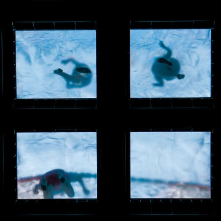 silhouettes of people swimming in the swimming pool, sport and recreationの写真素材