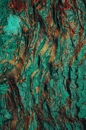 colorful wall textured background, multicolored wallpaper