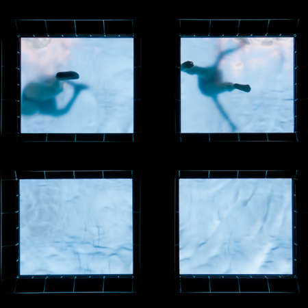 people swimming in the pool, activities and recreationの写真素材