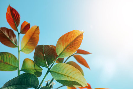 green tree leaves in spring seasonの写真素材