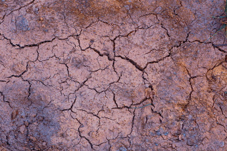 Dry and cracked earth background. Cracks in the ground.