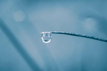 water drop on grass blade - soft focus and vintage effect picture styleの写真素材