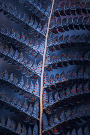 Fern frond close-up. Beautiful fractal pattern. Computer generated graphics.