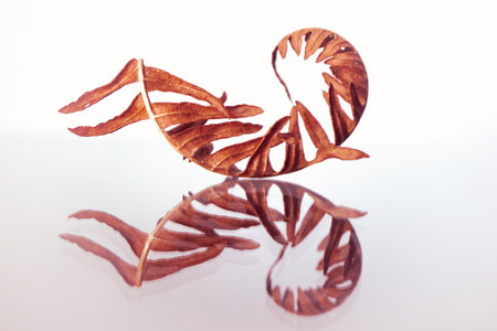Tropical leaves on a white background with reflection. Toned.