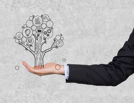 hand holding money tree on gray backgroundの写真素材