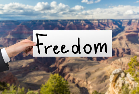 hand holding poster with freedom textの写真素材