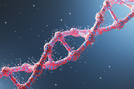 Close up of a red diagonal DNA chain against dark blue background. Concept of science. 3d rendering.の写真素材
