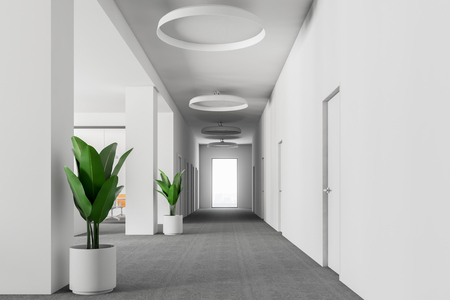 Long corridor with a row of closed doors in a modern open space office interior with white walls, a gray carpet, potted plants and round ceiling lamps. 3d rendering mock upの写真素材