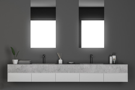 Double sink in modern bathroom interior with gray walls. Vertical narrow mirrors and shampoos. 3d renderingの写真素材