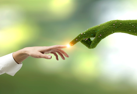Close up of woman hand in white shirt touching grass hand with flowers over blurred green background. Concept of taking care of nature. Toned imageの写真素材