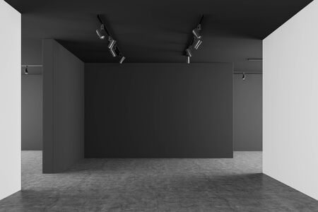 Interior of empty gallery with grey and white walls, concrete floor and ceiling lamps. Concept of advertising and marketing. 3d rendering, mock upの写真素材