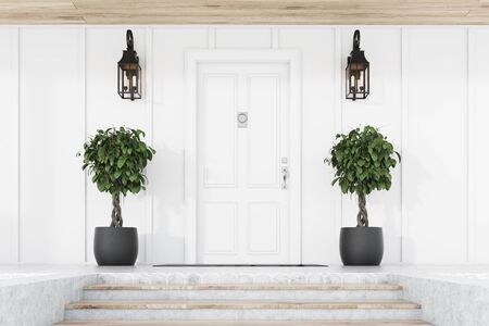 Stylish white front door of modern house with white walls, door mat, two trees in pots, stairs and lamps. 3d renderingの写真素材