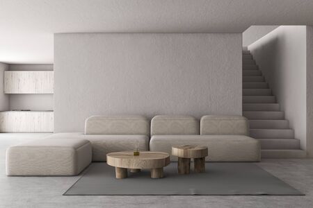 Interior of stylish living room with crude white walls, concrete floor, comfortable sofa near round coffee tables and kitchen with wooden countertops in background. 3d renderingの写真素材