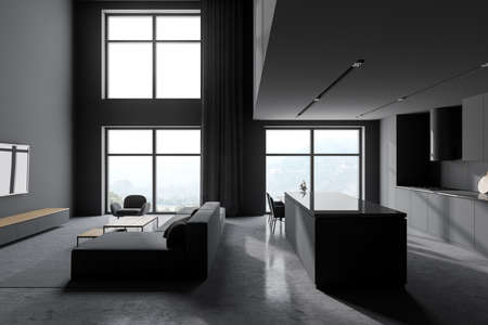 Side view of stylish living room with gray walls, concrete floor, gray armchair and sofa and kitchen in background. 3d renderingの写真素材