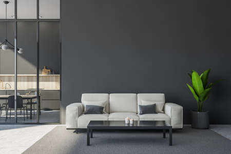 Gray seating area design using light beige sofa, coffee table, rug and indoor plant. Light concrete...