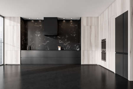 Dark kitchen room interior with cupboard, refrigerator, electric cooker, double oven, black marble...