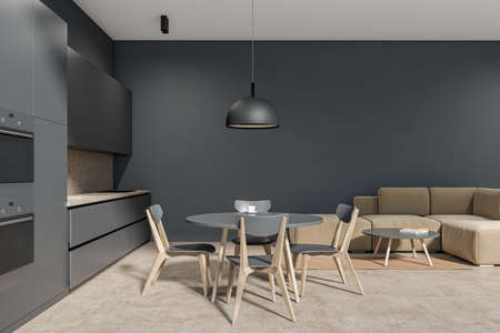 Side view on dark studio room interior with couch, double oven, gas cooker, dining table, sink,...