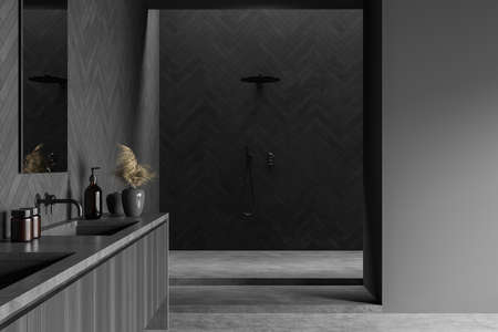Dark bathroom interior with shower on podium, sink with mirror and decoration on deck, gray concrete floor. Stylish washing room with minimalist furniture. 3D renderingの写真素材