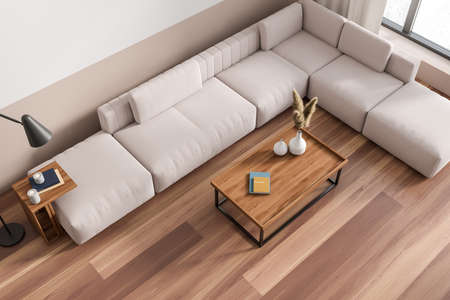 Light top view living room interior with sofa, hardwood floor. Coffee table with decoration,...