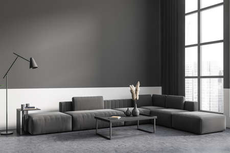 Dark living room interior with sofa, front view, hardwood floor. Coffee table with decoration,...