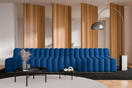 Dark studio interior with sofa on carpet and decoration. Relax space and cooking area with...