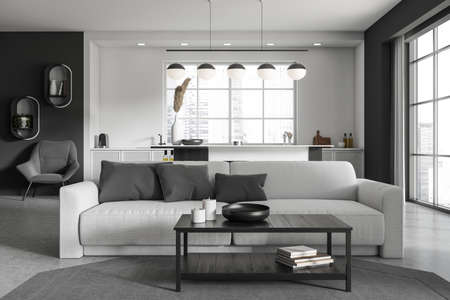Stylish apartment interior with sofa and coffee table, cooking space with kitchenware, panoramic...