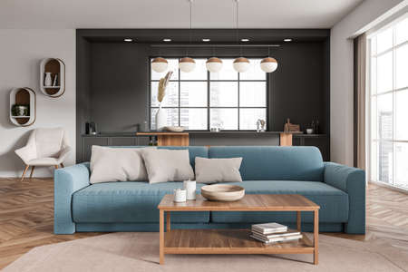 Modern apartment interior with sofa and coffee table, cooking area with kitchenware, panoramic...