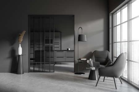 Dark living room interior with two armchairs, cooking area with bar island and shelves on gray...