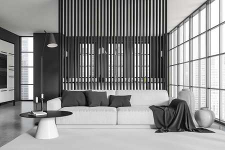 Dark studio interior with sofa on carpet and coffee table with decoration. Kitchen space with...