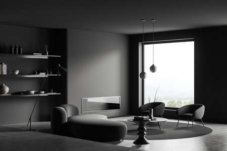 Dark living room interior with armchair and sofa, side view, coffee table and shelf with art...