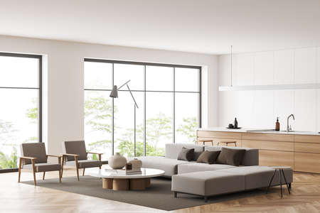 White studio interior with armchairs and sofa with coffee table, side view, panoramic window on the tropics. Cooking space with bar island and kitchenware. 3D renderingの写真素材