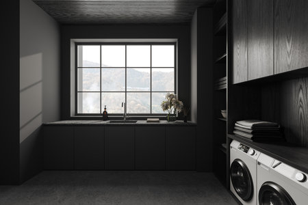 Interior of stylish laundry room with gray and dark wooden walls, concrete floor, washing machine, dryer and gray sink. 3d renderingの写真素材