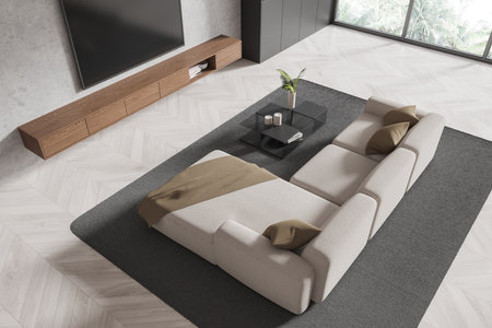 Top view of home living room interior with sofa and coffee table on carpet, tv display and drawer....